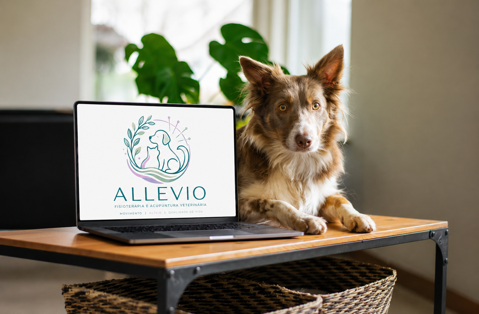 Cachorro - logo.png